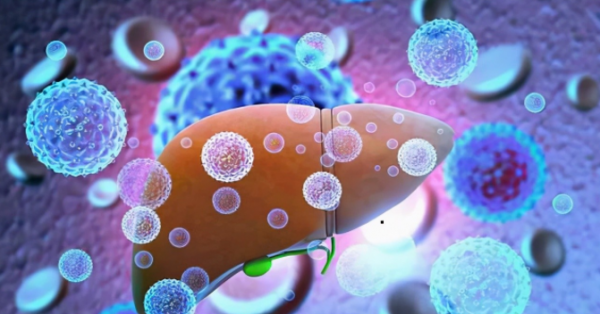 乙肝患者，每天一片恩替卡韋能轉陰嗎？與替諾福韋相比誰更有效