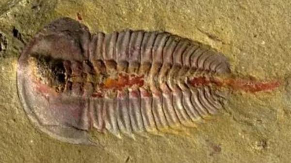 中國內陸最大的天水湖是 新疆海洋，你認可嗎？