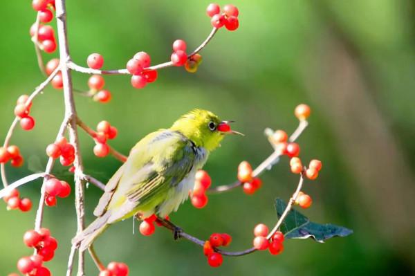 人生失意無處悔