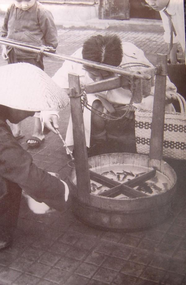 金魚池，與金魚有什麼關係？