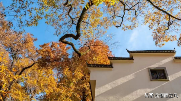 「隨筆」 蘇軾的月,是風景,更是人生 「隨筆」 蘇軾的月,是風景,更是人生