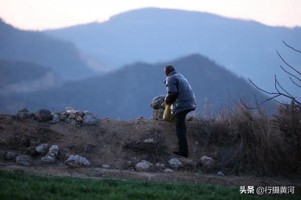山西大山發現巴基斯坦國鳥，6旬“鳥叔”守護6年，看鳥兒活成啥樣