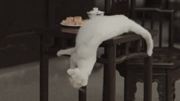 於正,你不要臉的樣子,真噁心 於正,你不要臉的樣子,真噁心