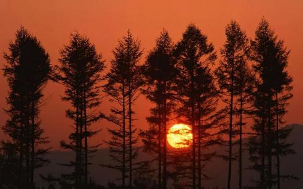 分享圖片：落日美景，令人震撼