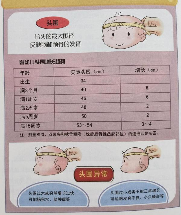 讀書筆記——《崔玉濤圖解家庭育兒⑧——小兒生長髮育》摘錄1