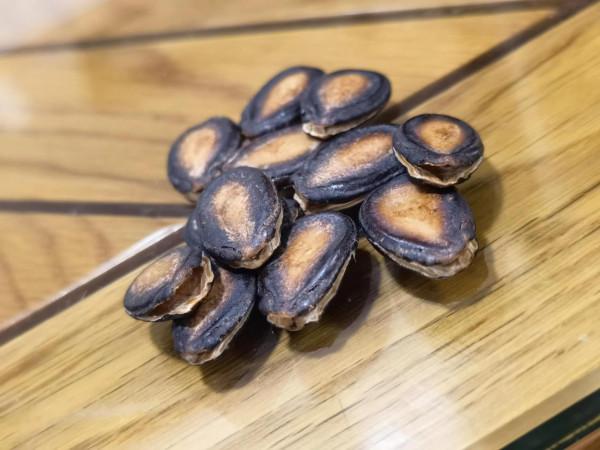 挑戰吃瓜子最高境界（不破裂兩片）