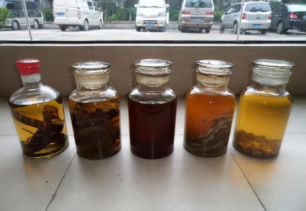 酒變蛇的“洗澡水”?毒蛇泡酒一年,開瓶後竄出咬人,這是為何? 酒變蛇的“洗澡水”?毒蛇泡酒一年,開瓶後竄出咬人,這是為何?