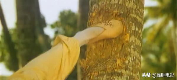 重溫《無敵鴛鴦腿》的疑問：為什麼只有鴛鴦腿才能戰勝黑沙掌？