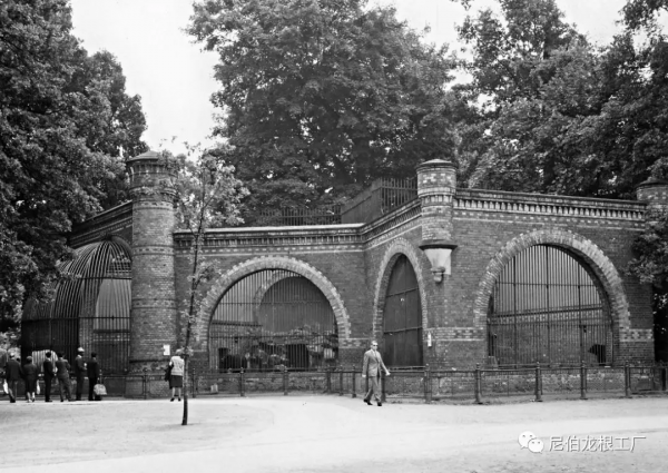 沒救了，燉了吧：二戰中的德國柏林動物園