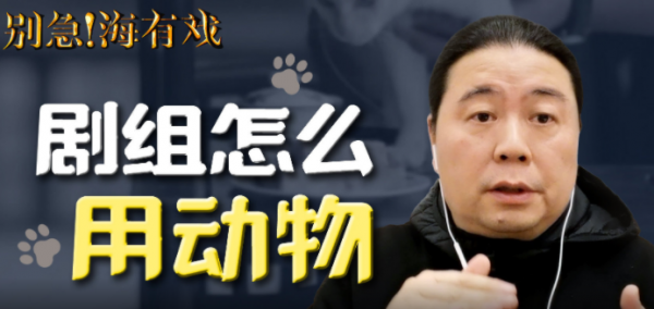 當家主母貓咪事件升級,於正要涼了?網友:陸游看見了該多傷心 當家主母貓咪事件升級,於正要涼了?網友:陸游看見了該多傷心