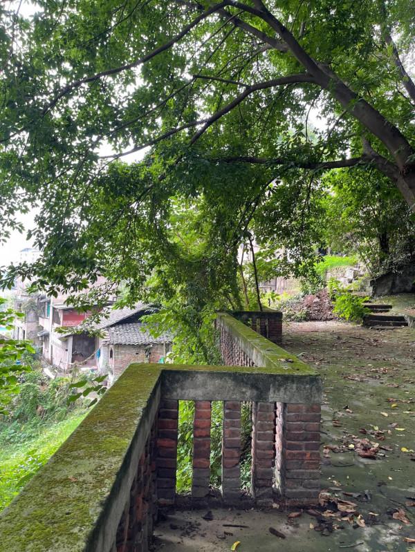 土相星座（金牛處女摩羯）十月狀況