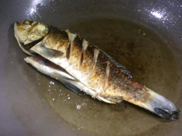 鯽魚豆腐湯這樣做,奶白無腥味,營養鮮美很好喝 鯽魚豆腐湯這樣做,奶白無腥味,營養鮮美很好喝