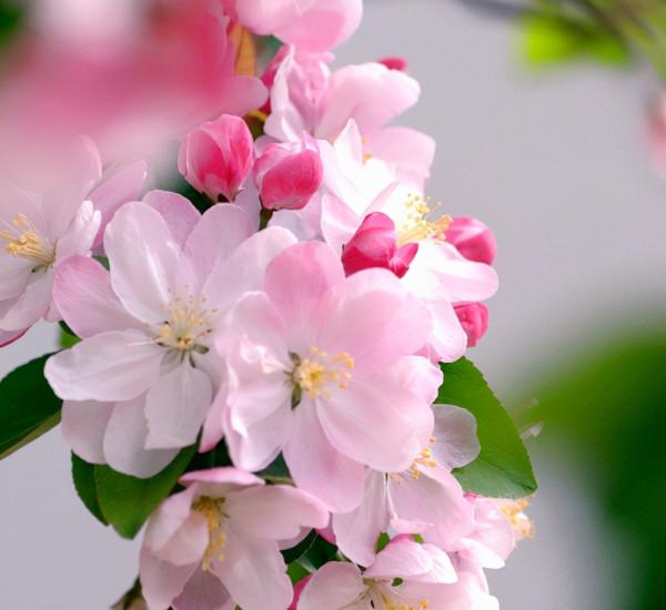 5天后，4個星座，一改不如意之勢，厚積薄發，成就非凡