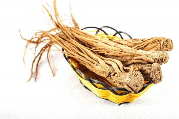 身體疲倦乏力,有淤血?一個名方五味藥,補氣化瘀、橫掃氣虛血瘀 身體疲倦乏力,有淤血?一個名方五味藥,補氣化瘀、橫掃氣虛血瘀