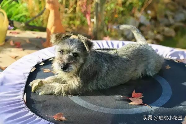 他賣掉城裡的房子，包了個山頭，打造集裝箱陽光房、小木屋、花園