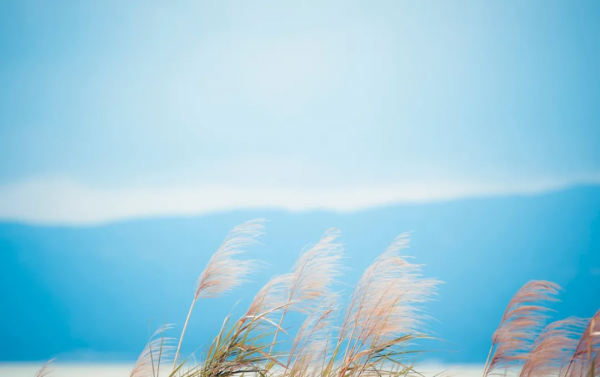 關係再好,也要保持“三種距離”! 關係再好,也要保持“三種距離”!