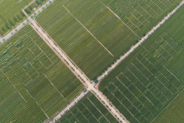 “豫”字，為什麼能代表河南？