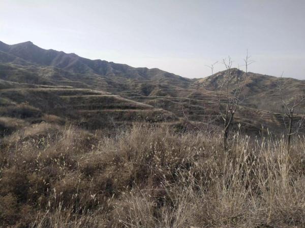 魯家峪的故事(2021－877)