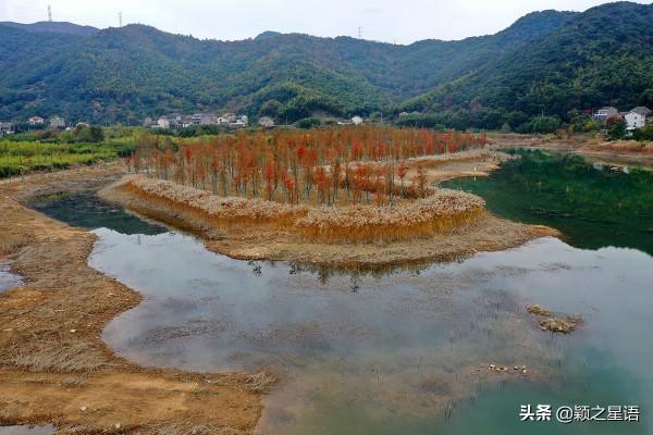 寧波13處紅杉林交通攻略,文明出行,風景更美好 寧波13處紅杉林交通攻略,文明出行,風景更美好