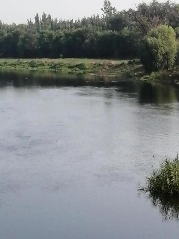 教學之道一一課堂切入點