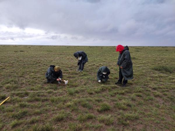 新研究:保護土壤生物結皮 讓旱區不再更旱 新研究:保護土壤生物結皮 讓旱區不再更旱