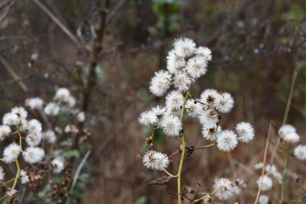 半野釣——山頂的魚塘