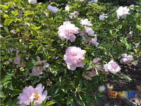 在地壇送別晚秋 在地壇送別晚秋