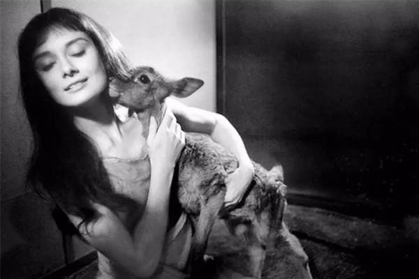 1953年，26歲的紀梵希第一次見到24歲的赫本，不婚不娶守護她46年