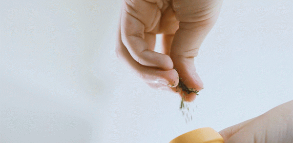 一球一棒，讓貓咪重新動起來