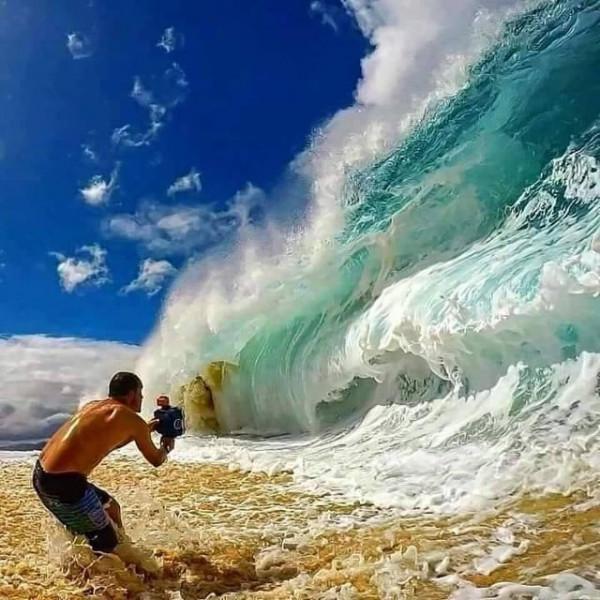 35張照片帶我們領略大自然的狂野