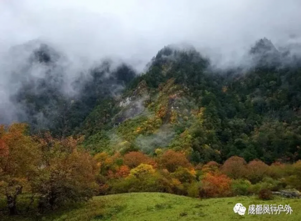 「卓西彩林」11月6號徒步臥龍邂逅卓西彩林 「卓西彩林」11月6號徒步臥龍邂逅卓西彩林
