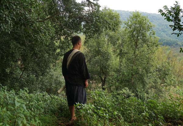 翁丁聽到的獵人頭故事：真的要他們去砍人，小哥倆膽怯了