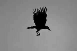 民間故事:男子回家,察覺妹妹吃飯露端倪,他掏出墨斗逃過一劫 民間故事:男子回家,察覺妹妹吃飯露端倪,他掏出墨斗逃過一劫