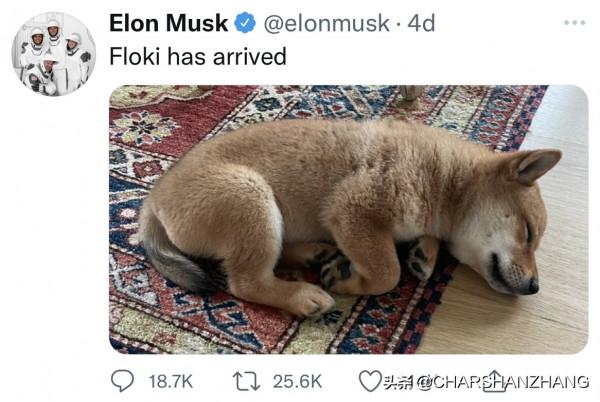 加密貨幣-SHIB入駐Coinbase,春天來臨 加密貨幣-SHIB入駐Coinbase,春天來臨