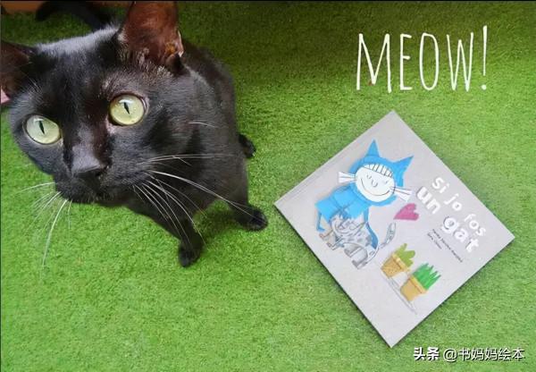 貓咪主題繪本推薦｜和孩子一同開啟喵星人的世界