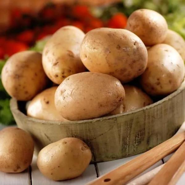 土豆，在毛主席生活中的點點滴滴