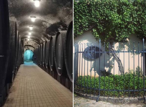 &OpenCurlyDoubleQuote;斯洛維尼亞&rdquo;現狀，帶你看一看真實的斯洛維尼亞