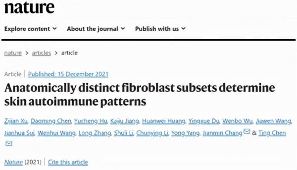 北京醫院常建民教授團隊參與的白癜風發病機制研究取得新進展 北京醫院常建民教授團隊參與的白癜風發病機制研究取得新進展