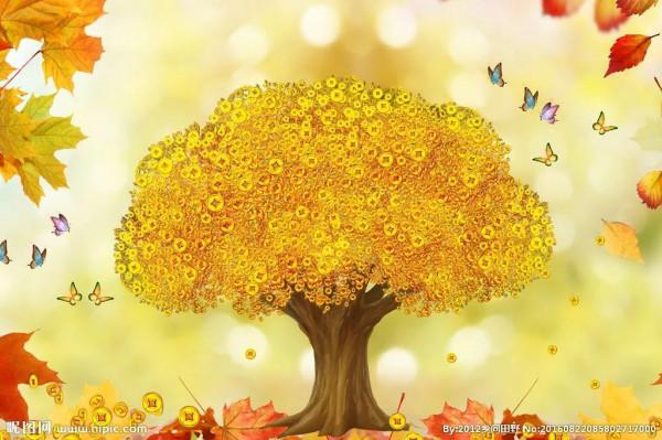 家養美觀大方的五種大盆植物