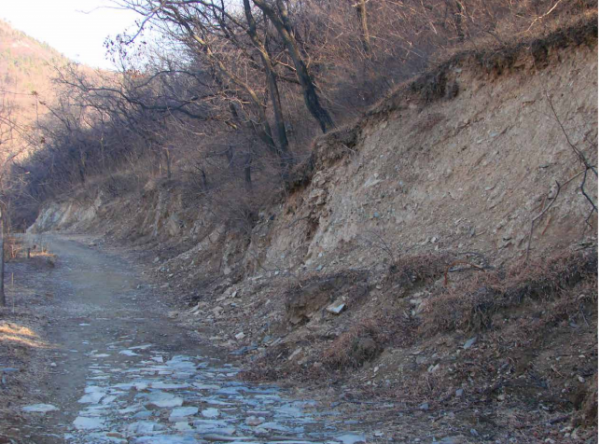 “文化碑林 綠色生態”——首都綠色文化碑林建設歷程回顧 “文化碑林 綠色生態”——首都綠色文化碑林建設歷程回顧