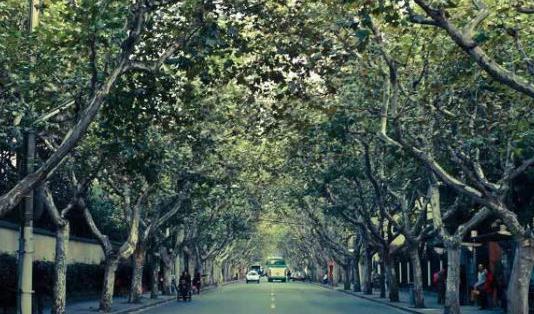 上海“最洋氣”的馬路，全是洋樓公寓，號稱“中國最豪華的公寓”