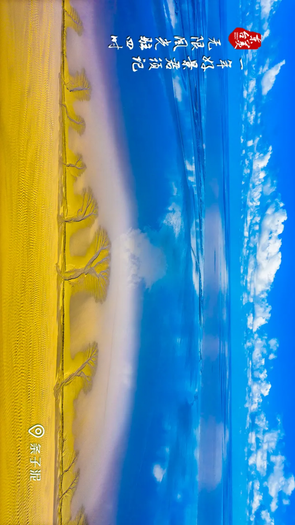 一起走過東臺最美的四季