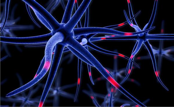 如果用一根直徑0.000001毫米的針穿過大腦,會發生什麼? 如果用一根直徑0.000001毫米的針穿過大腦,會發生什麼?