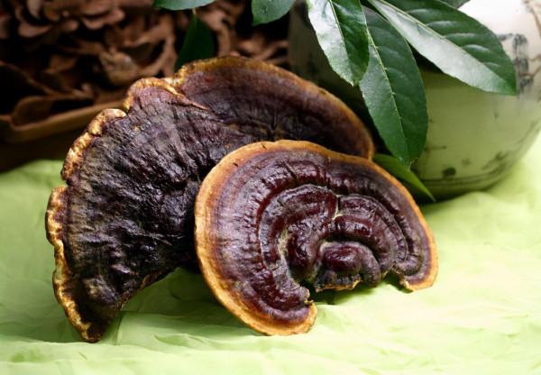 中藥|益氣健脾,調理腸胃 中藥|益氣健脾,調理腸胃