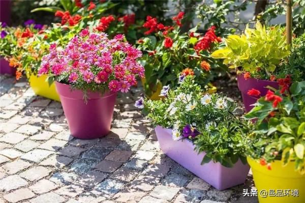 邑品科普丨收下這份攻略，你也可以打造獨一無二的容器花園