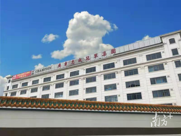 荒島艱難除錯，蘿蔔白菜度日——志成冠軍獲國家科技獎背後的故事