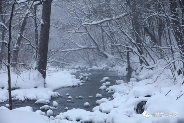 這樣的吊水壺，你愛了吧
