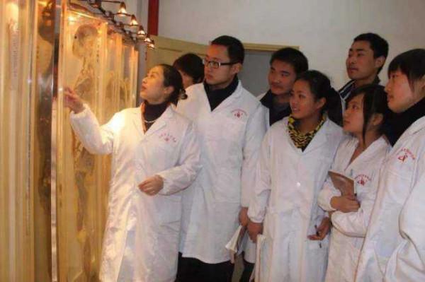 醫學生的重要選擇,讀五年制還是“八年制”?決定會影響未來發展 醫學生的重要選擇,讀五年制還是“八年制”?決定會影響未來發展