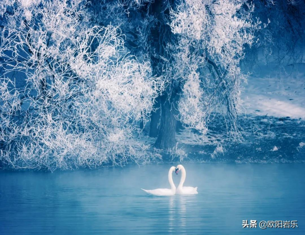 這20個地方藏著中國最美的冬天，2021最後一個月，錯過再等一年