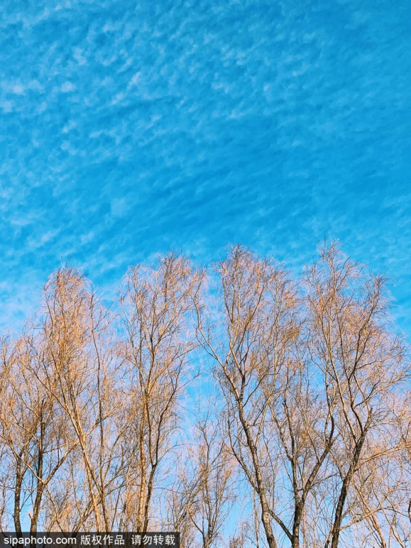 2021的最後這16天，這16件事超值得做！